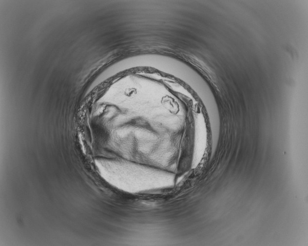 X0000114210405200911061450