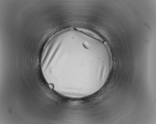 X0000114210407200911061450