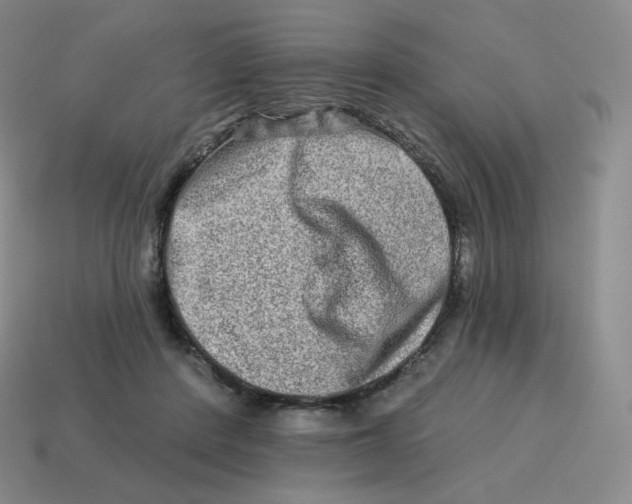 X0000114210408200911061450