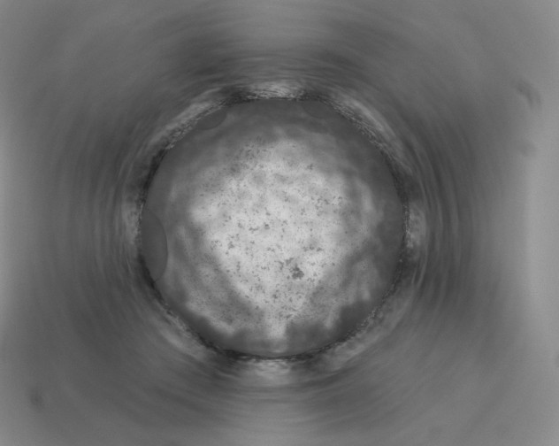 X0000114210409200911061450