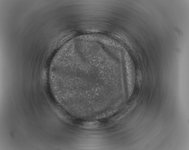 X0000114210410200911061450