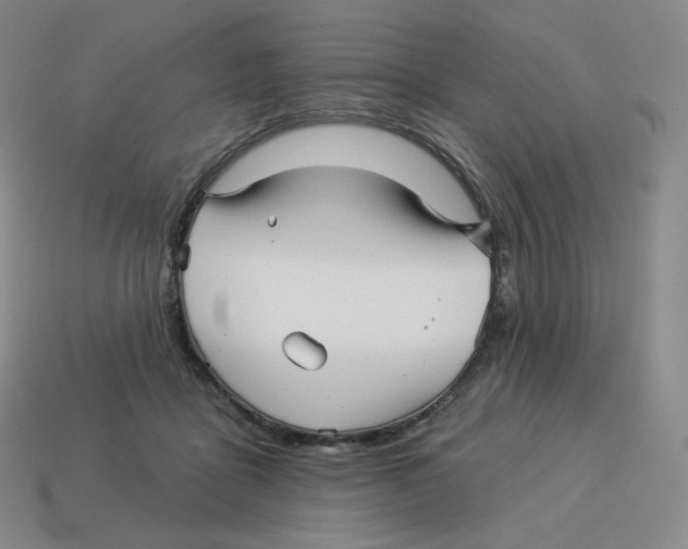 X0000114210411200911061450