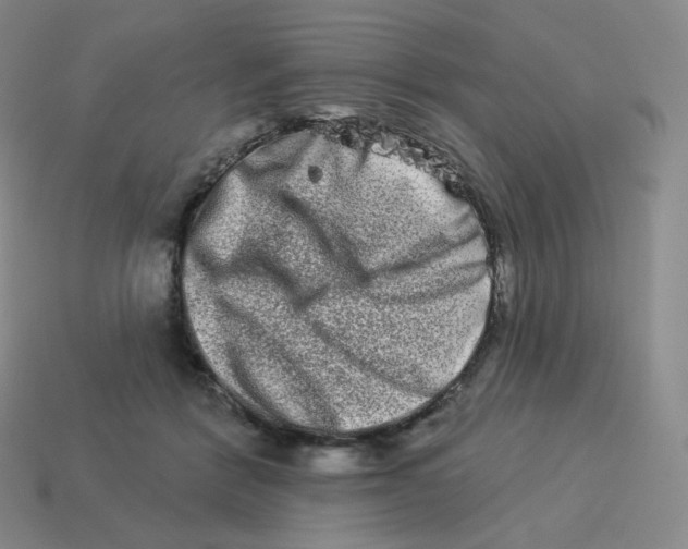 X0000114210412200911061450