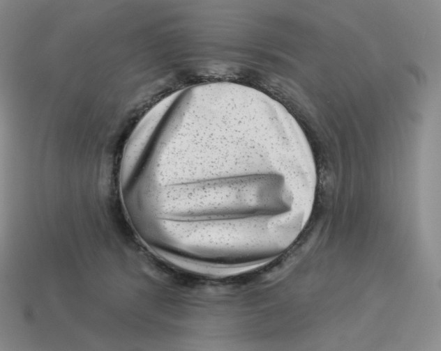 X0000114210416200911061450