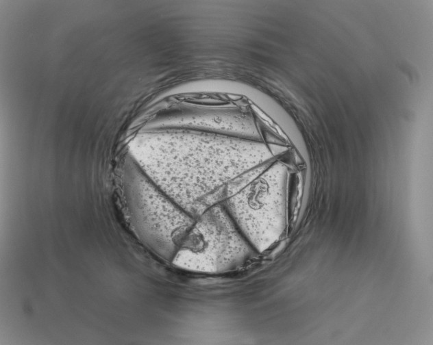 X0000114210417200911061450