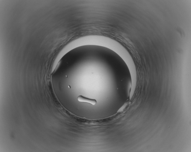 X0000114210419200911061450