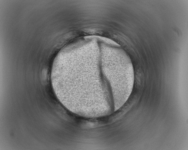 X0000114210420200911061450