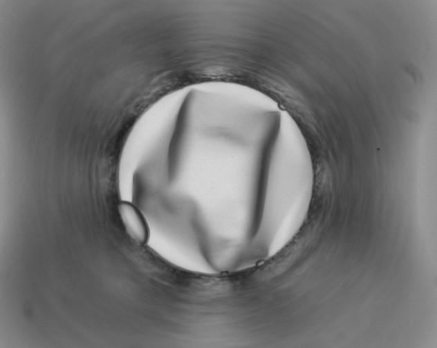 X0000114210421200911061450