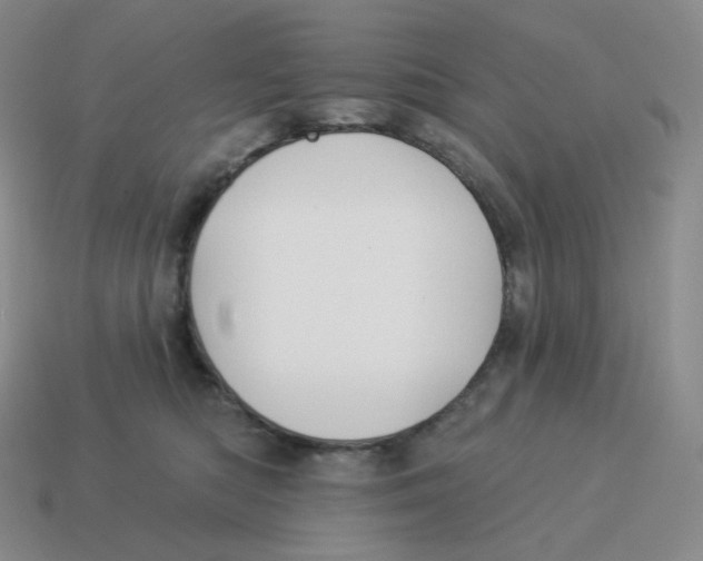 X0000114210422200911061450