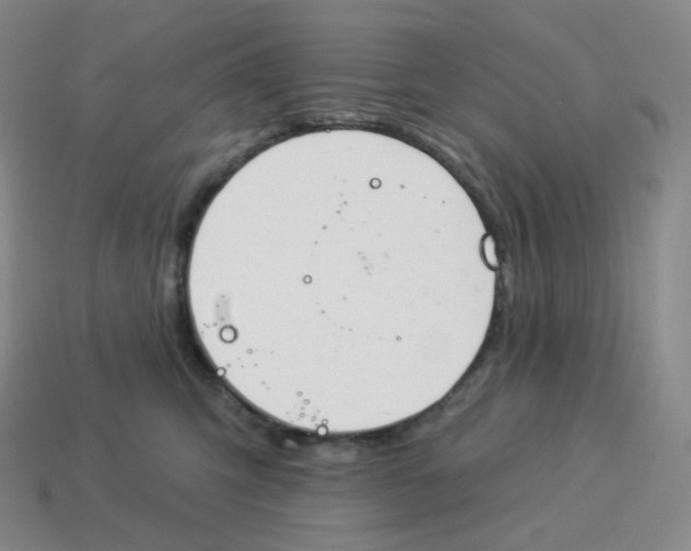 X0000114210423200911061450