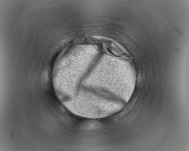 X0000114210424200911061450