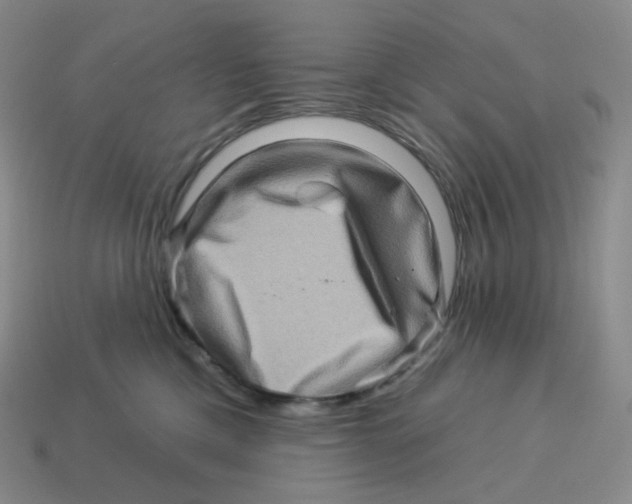 X0000114210425200911061450