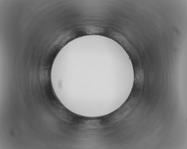 X0000114210426200911061450