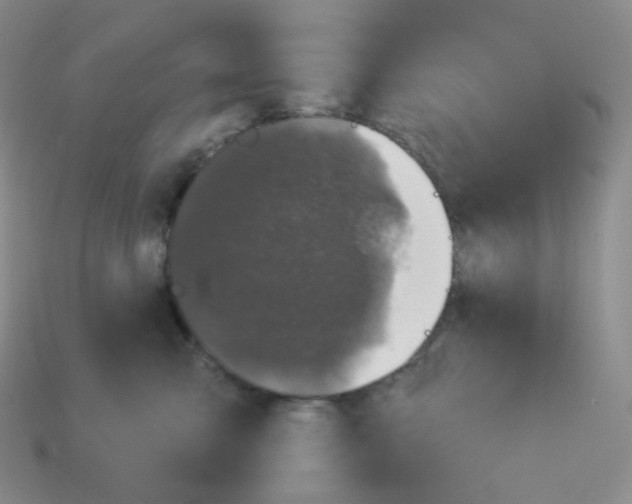 X0000114210427200911061450