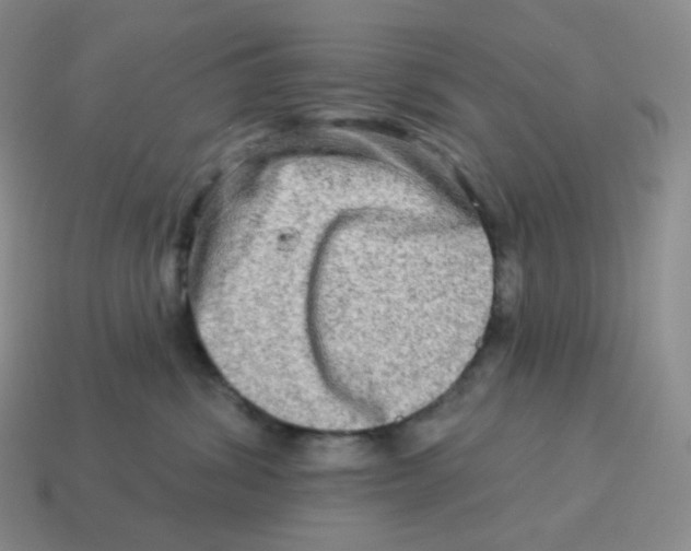 X0000114210428200911061450