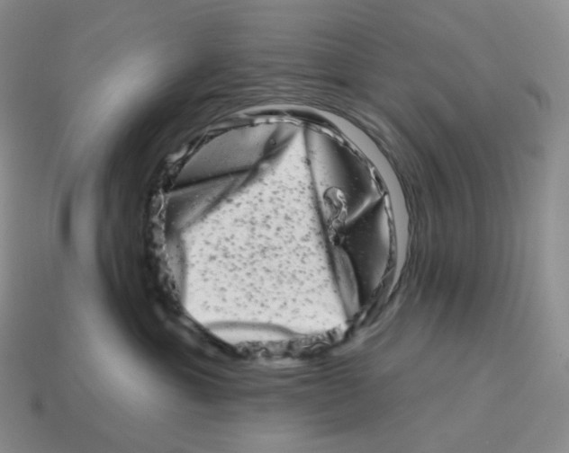 X0000114210429200911061449