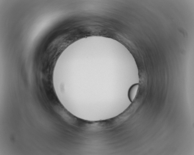 X0000114210430200911061449