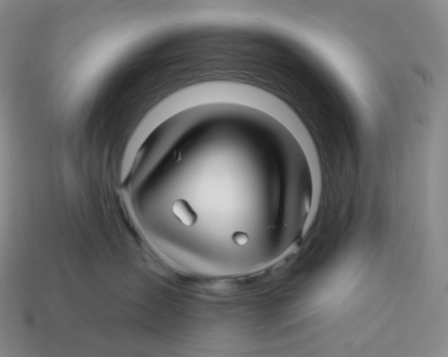 X0000114210431200911061449