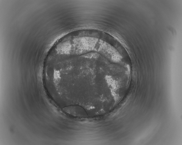 X0000114210434200911061449