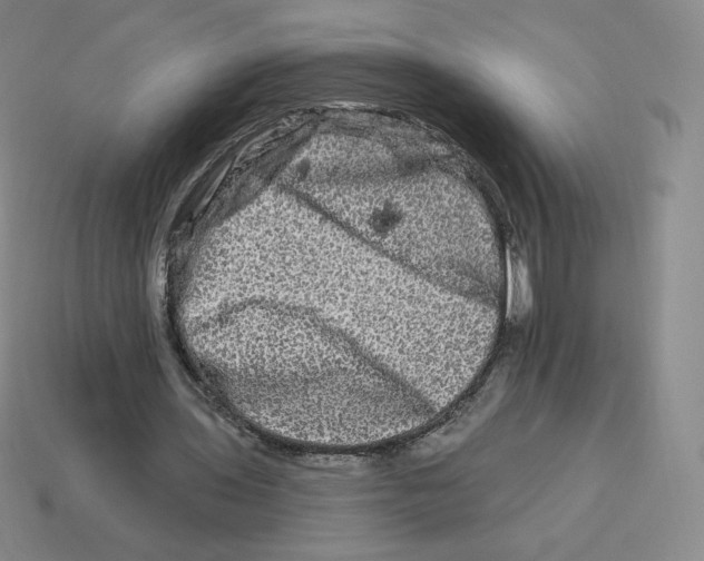X0000114210435200911061449