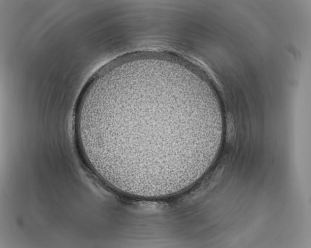 X0000114210439200911061449