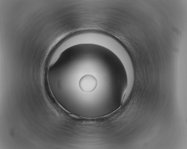 X0000114210440200911061449