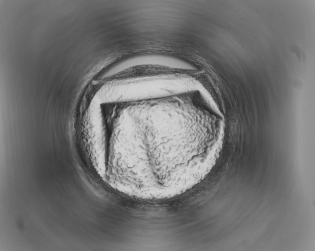 X0000114210443200911061449