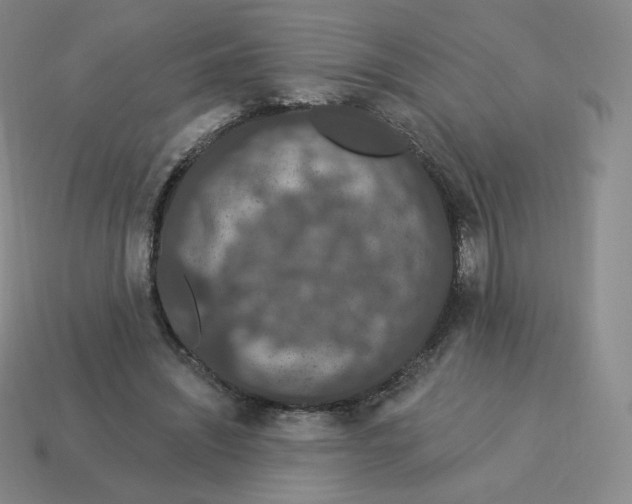 X0000114210444200911061449