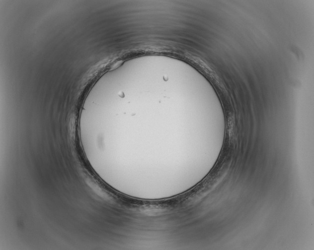 X0000114210445200911061449