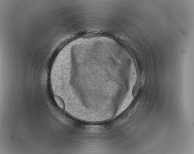 X0000114210448200911061449
