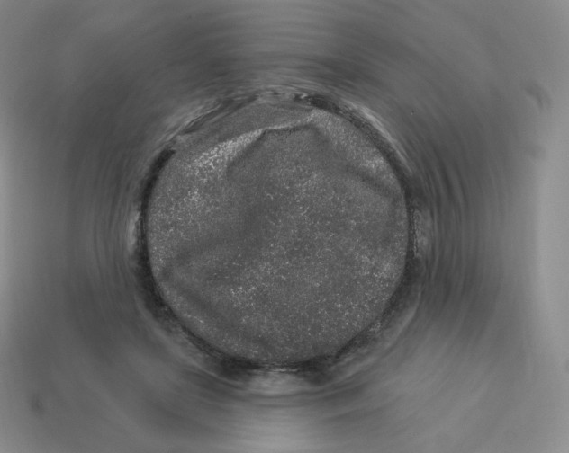 X0000114210451200911061449