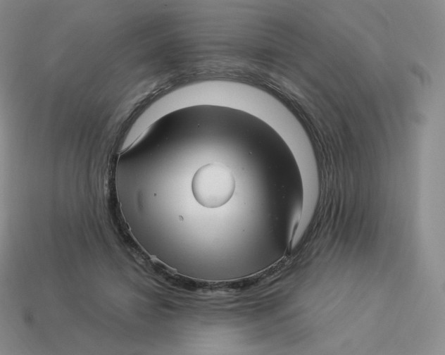 X0000114210452200911061449