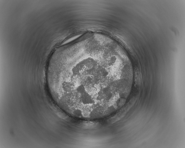 X0000114210453200911061449
