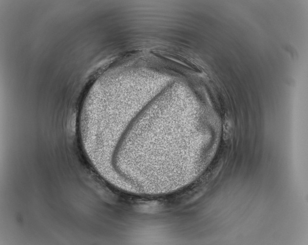 X0000114210454200911061449