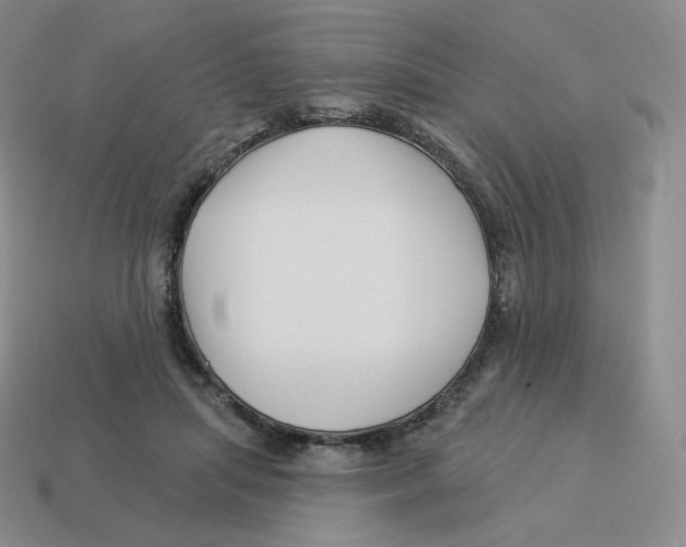 X0000114210455200911061449