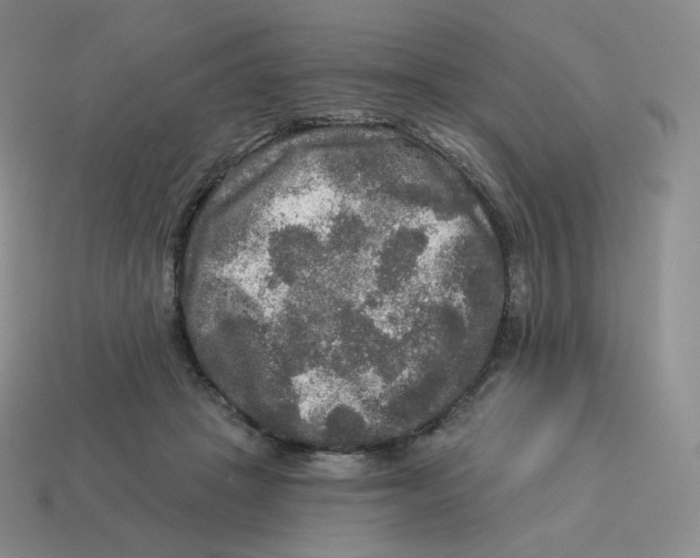 X0000114210457200911061449