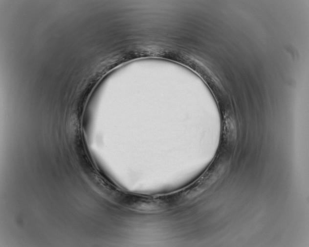 X0000114210459200911061449