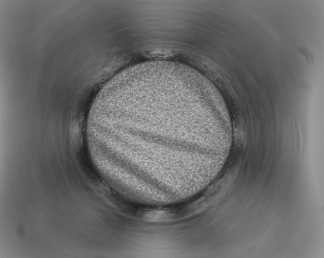 X0000114210460200911061449