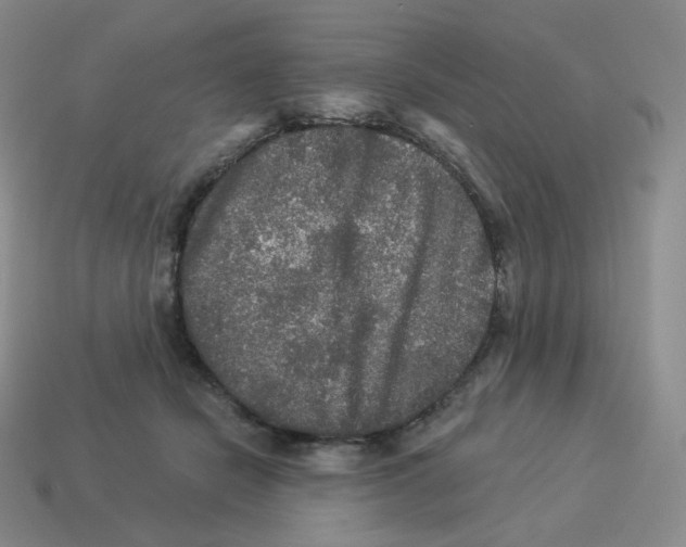 X0000114210462200911061449