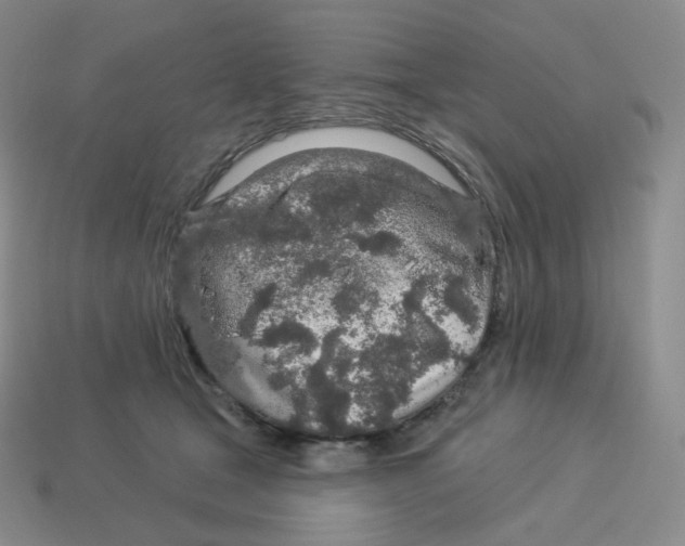 X0000114210465200911061449