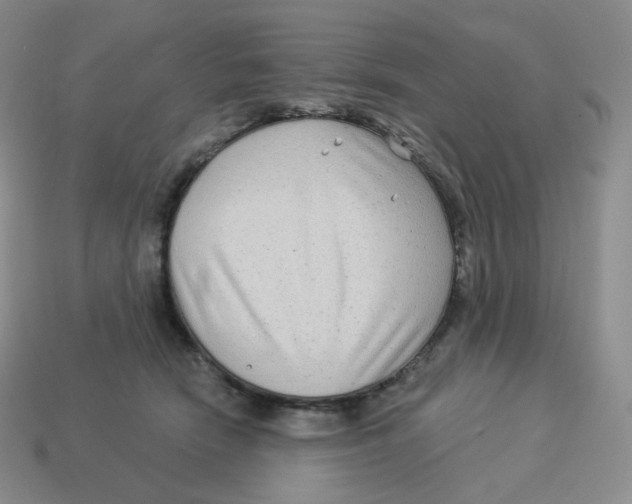 X0000114210466200911061449