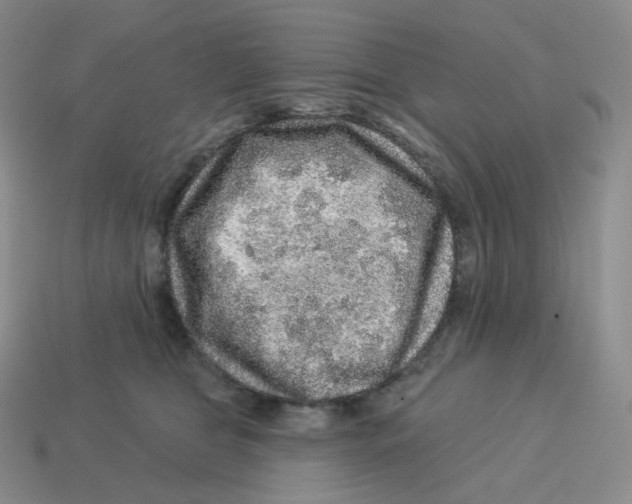 X0000114210469200911061449