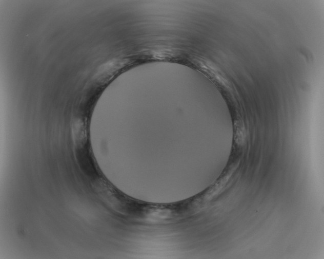 X0000114210471200911061449