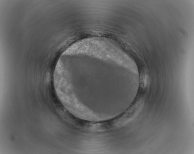 X0000114210472200911061449