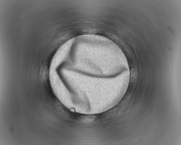X0000114210474200911061449