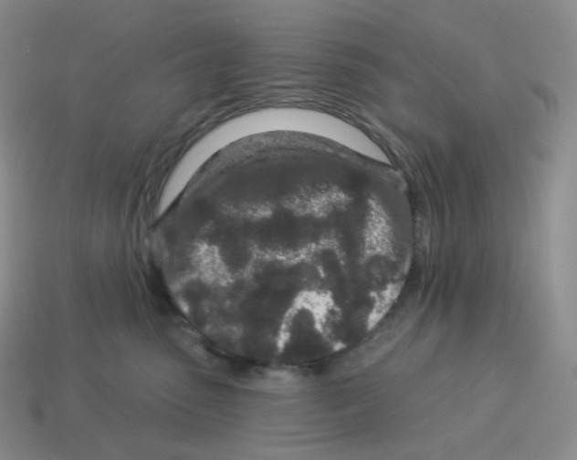X0000114210475200911061449