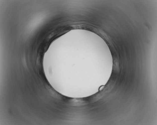 X0000114210477200911061449