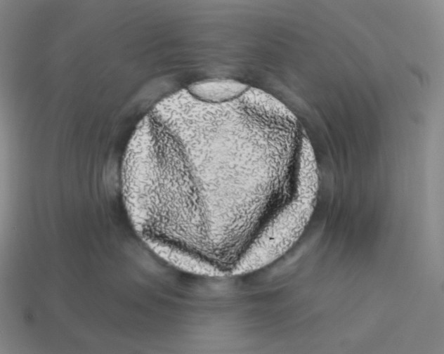 X0000114210479200911061449