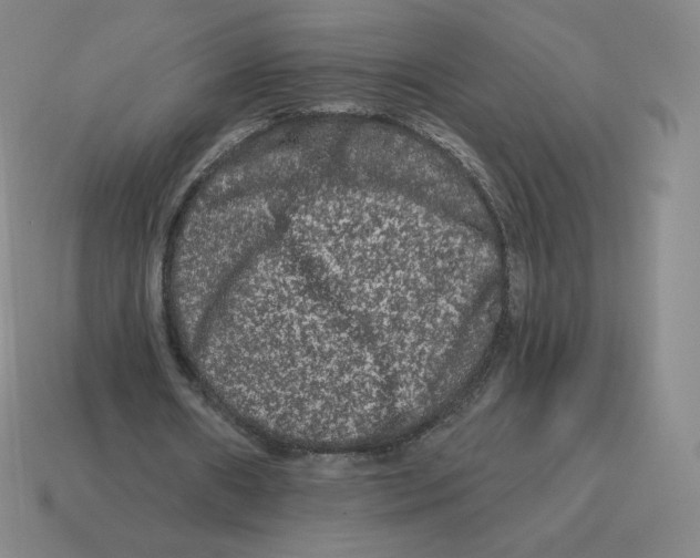 X0000114210482200911061449