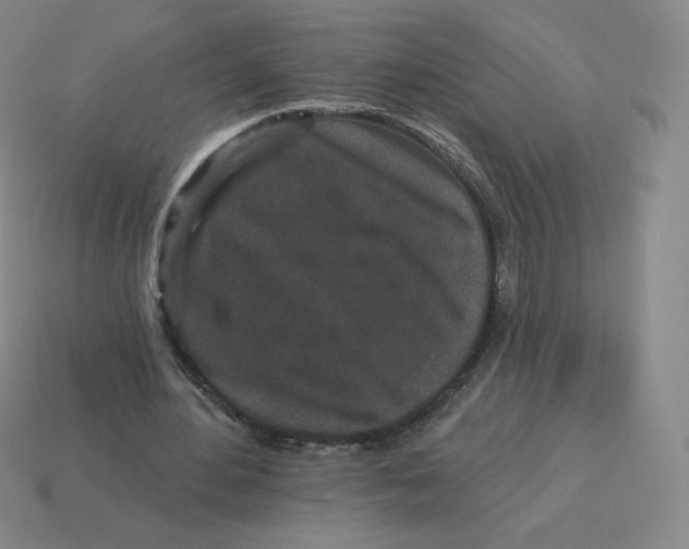 X0000114210484200911061449